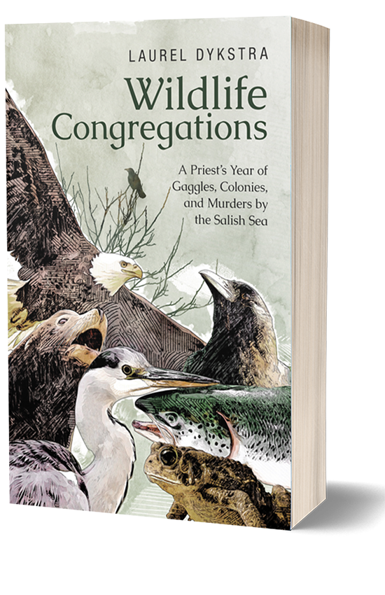 Wildlife Congregations: A Priest's Year of Gaggles, Colonies and Murders by the Salish Sea