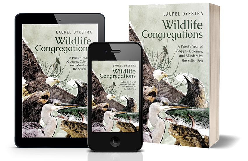 Wildlife Congregations: A Priest's Year of Gaggles, Colonies and Murders by the Salish Sea