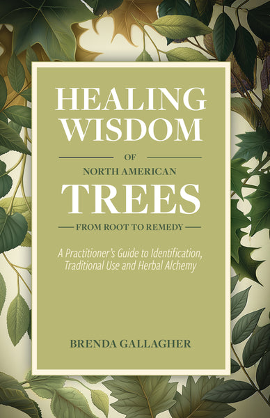 Healing Wisdom of North American Trees: A Practitioner's Guide to Identification, Traditional Use and Herbal Alchemy