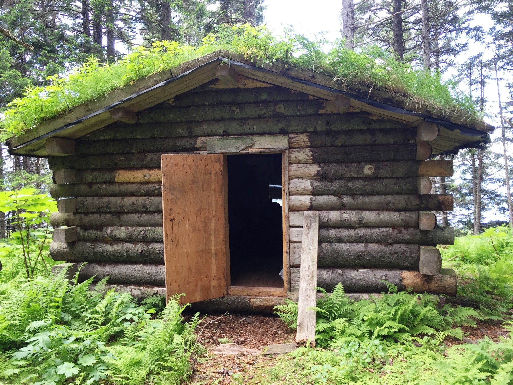 Land of Bear and Eagle: A Home in the Kodiak Wilderness