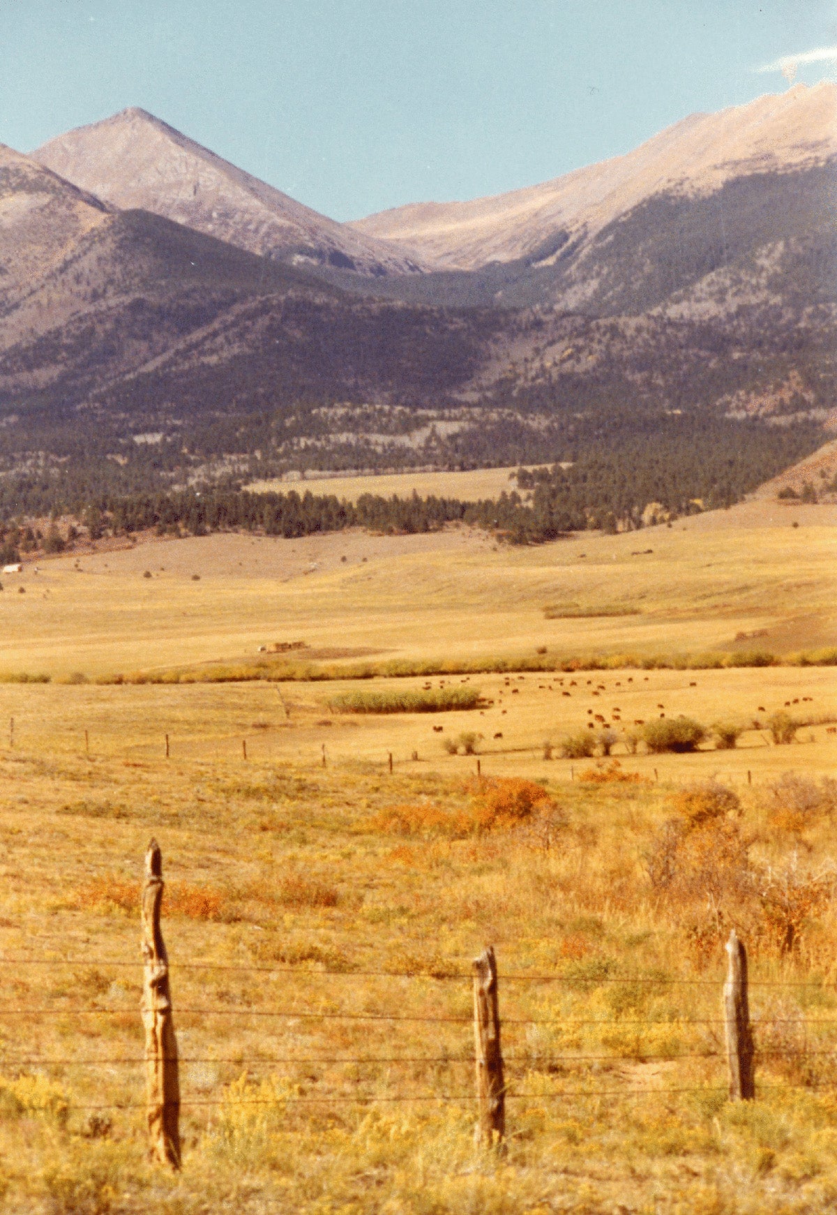 Mountain Ranch at the End of the Road: horses, cows, guns & grizzlies in the Canadian Wilderness