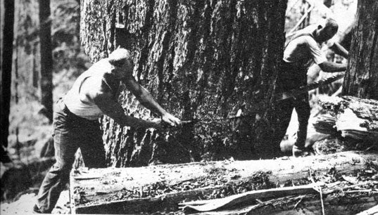 Big Timber Big Men: a history of loggers in a new land