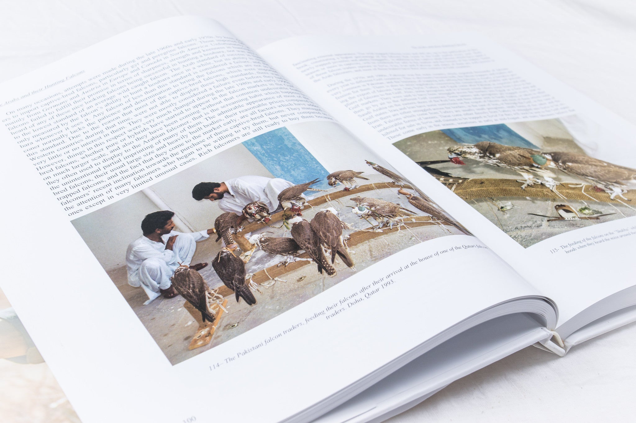 Falconry and Hunting in Arabia
