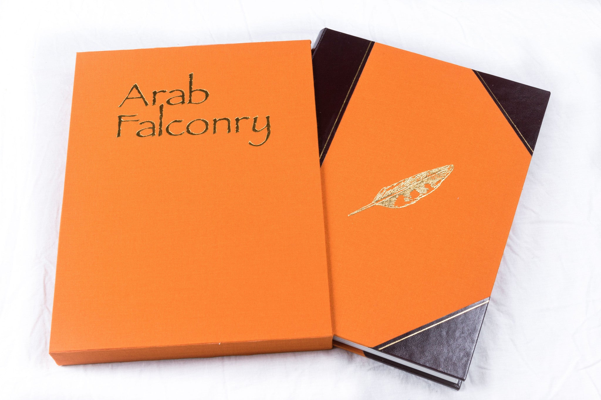 Arab Falconry: history of a way of life