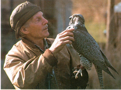 A Falconry Manual