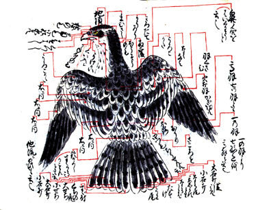 THE ENCYCLOPEDIA OF FALCONRY 鷹狩り 猛禽類 洋書 飛行中のハンターの鷹。猛禽類。鷹狩り。のイラスト素材
