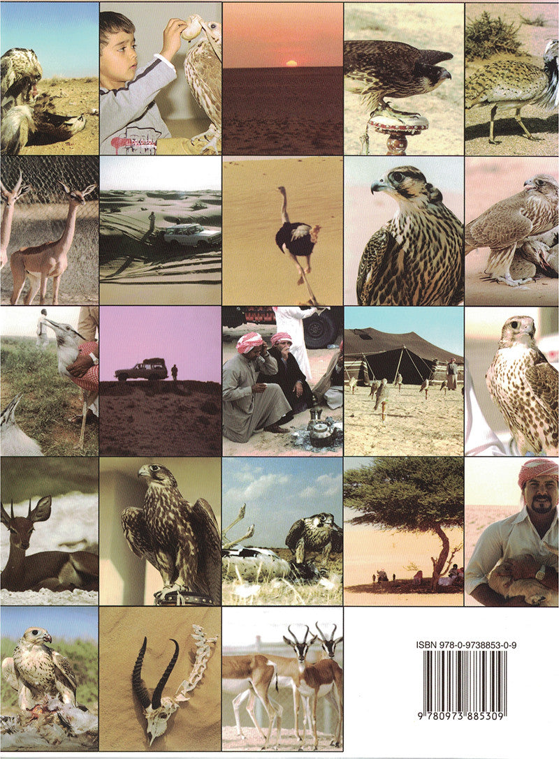 Falconry and Hunting in Arabia