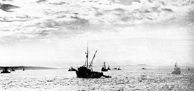 Fishing: British Columbia's commercial fishing history