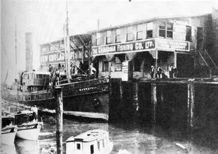 Fishing: British Columbia's commercial fishing history