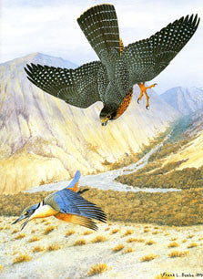 Frank L. Beebe the Artist
