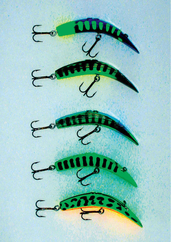 Master Angler: using colour technology to catch more fish