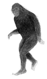 Raincoast Sasquatch: bigfoot, sasquatch evidence from Indian lore