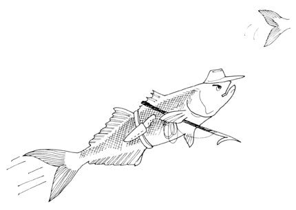 Secrets of Blue Fishing