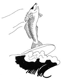 Secrets of Blue Fishing