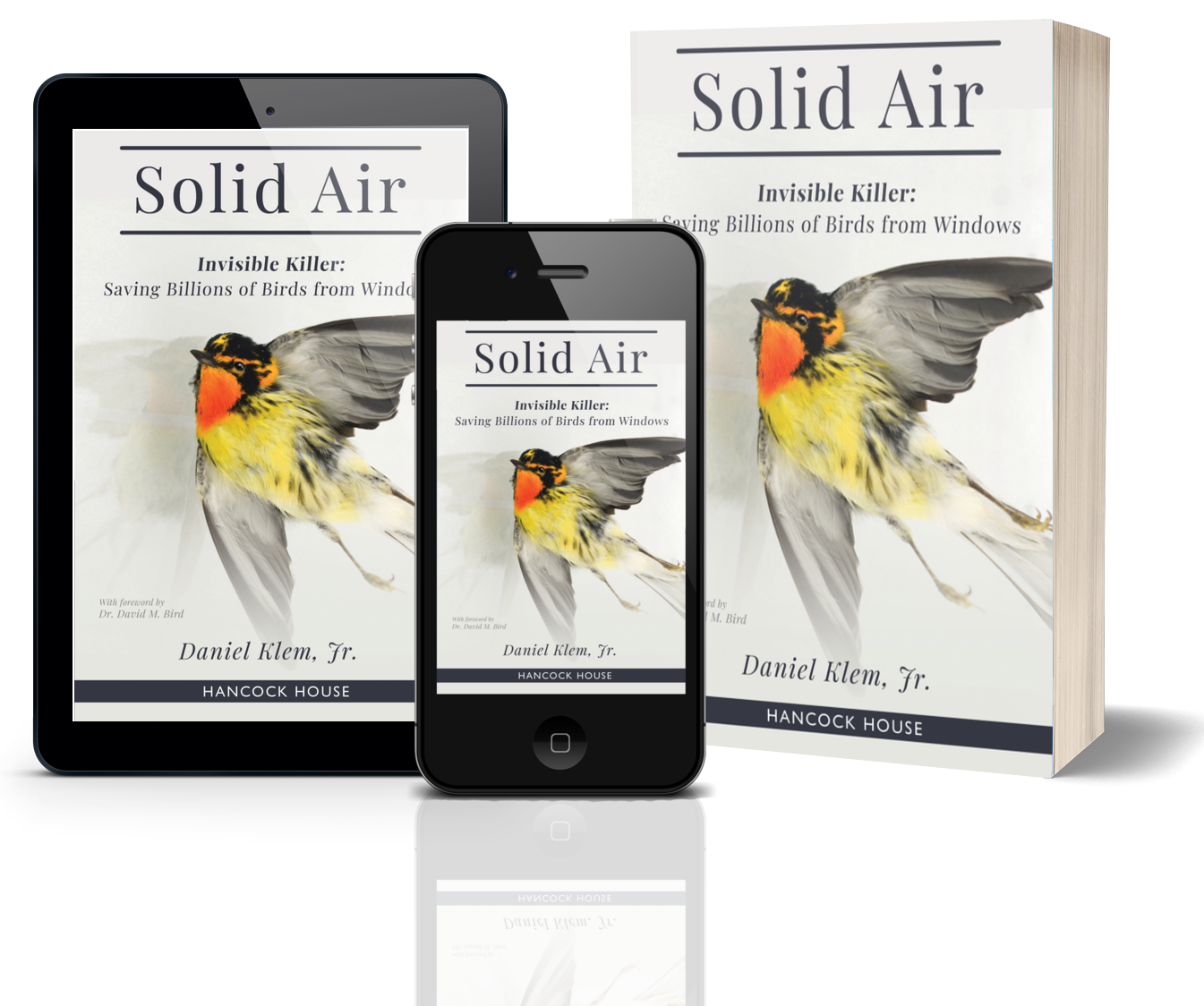 Solid Air: Invisible Killer Saving Billions of Birds from Windows