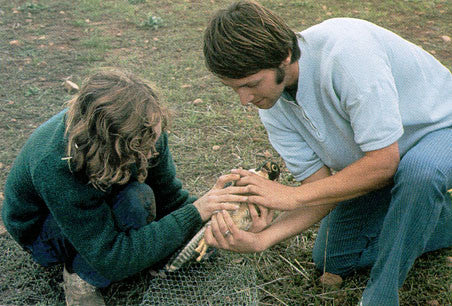 Some time with Eagles & Falcons