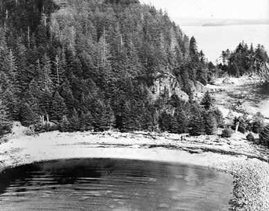 Those Born at Koona: the totem poles of the Haida village Skedans, Haida Gwaii