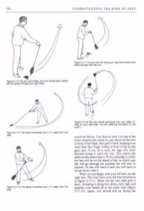 Understanding the Bird of Prey