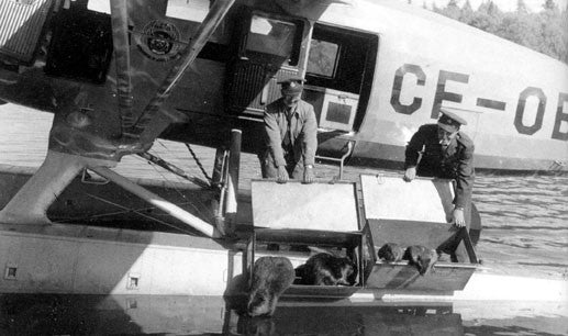 Wheels, skiis & floats: the northern adventures of a pioneer pilot