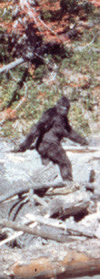 Bigfoot Film Controversy: the original Roger Patterson Book