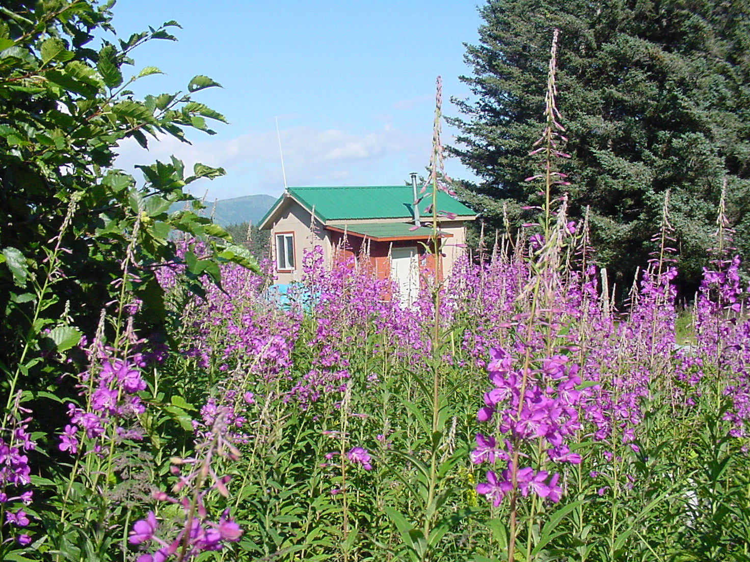 Land of Bear and Eagle: A Home in the Kodiak Wilderness