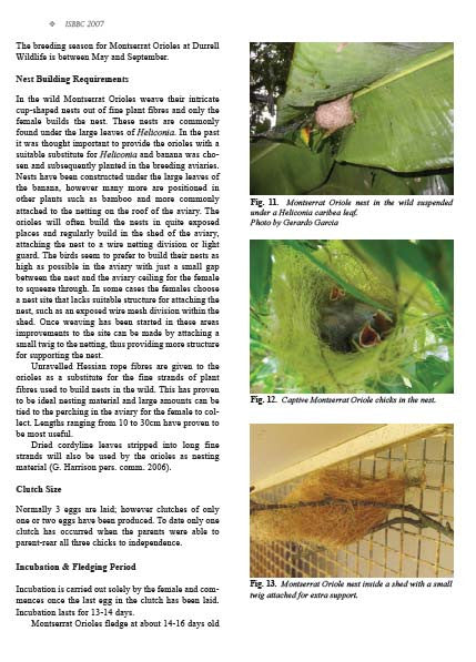 Conservation Through Aviculture ISBBC 2007: proceedings of the IV international symposium on breeding birds in captivity