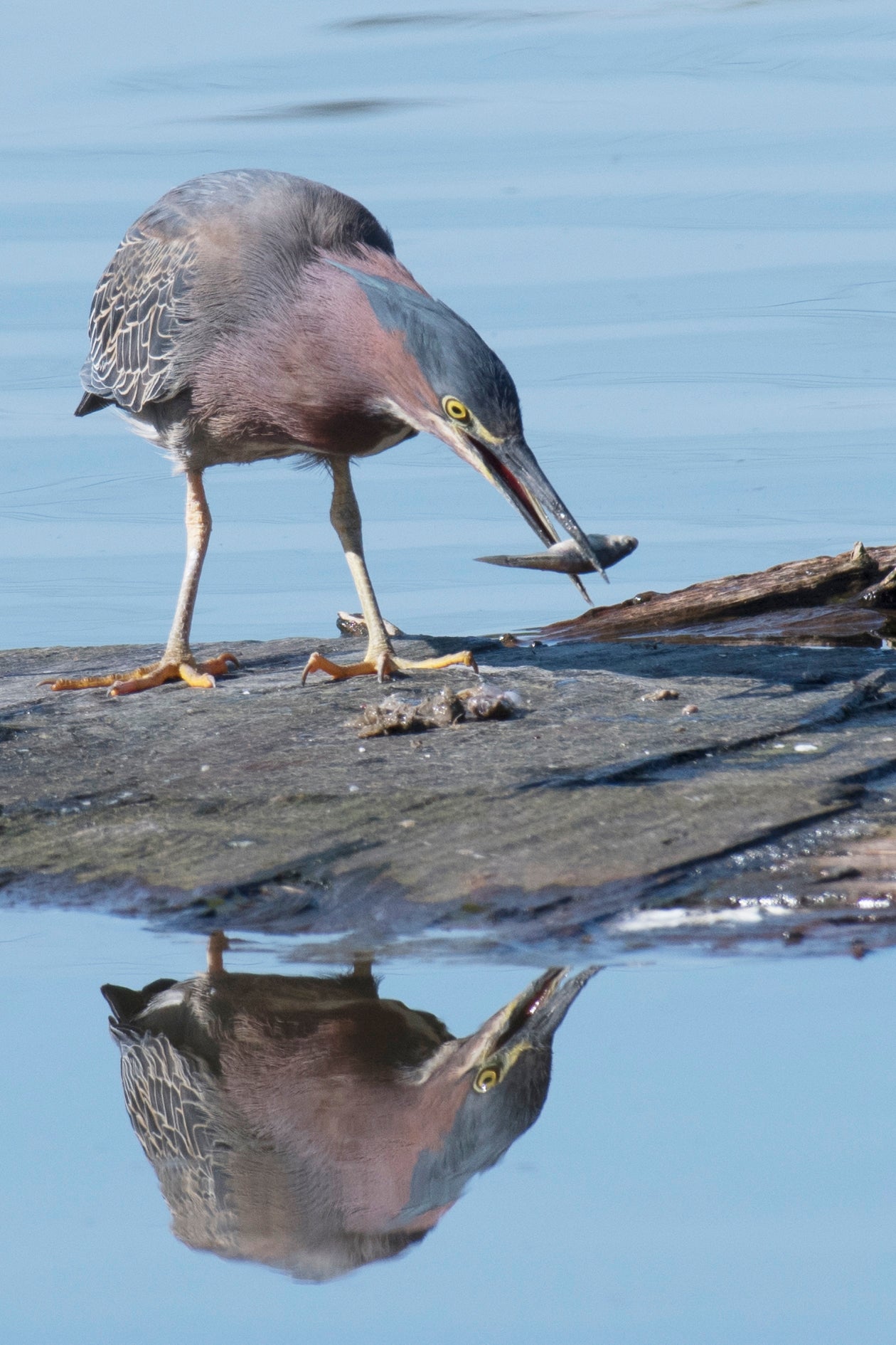 On the Trail: 50 Years of Engaging with Nature