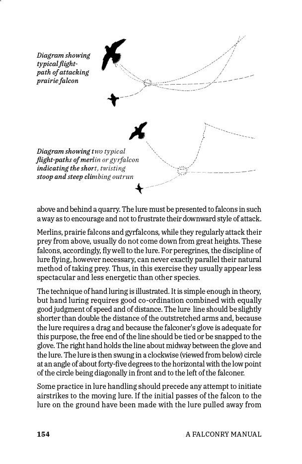 A Falconry Manual: A Practical Guide to Training Hawks and Falcons