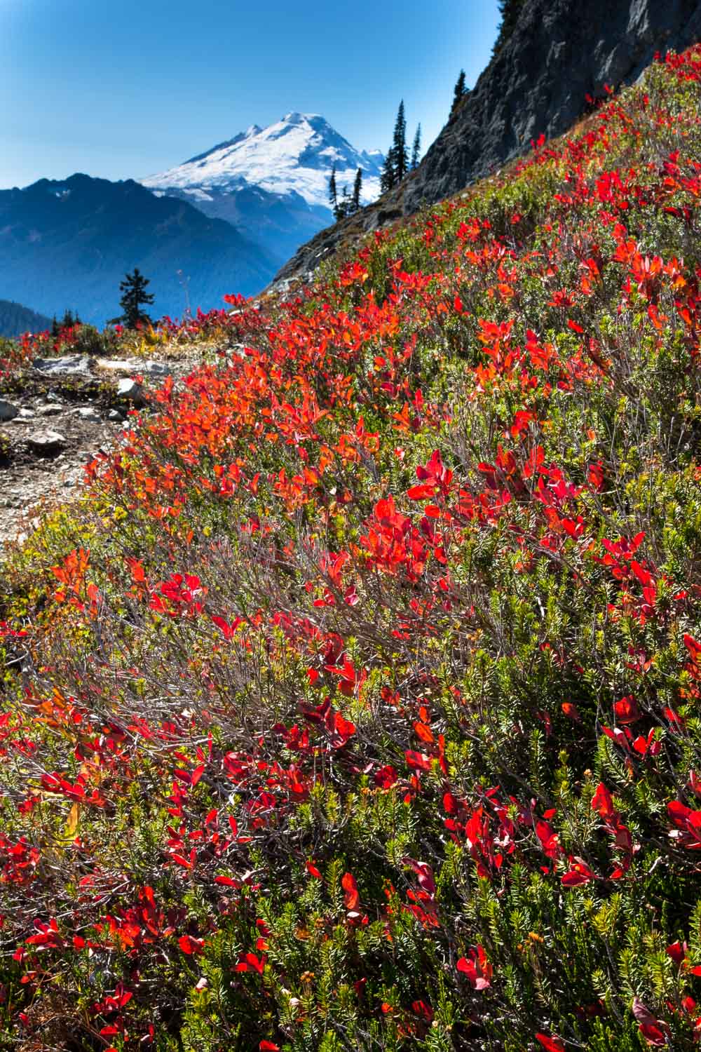 Hiking Mt. Baker and the North Cascades: Selected Walks Around Koma Kulshan (Mt. Baker) & the North Cascades