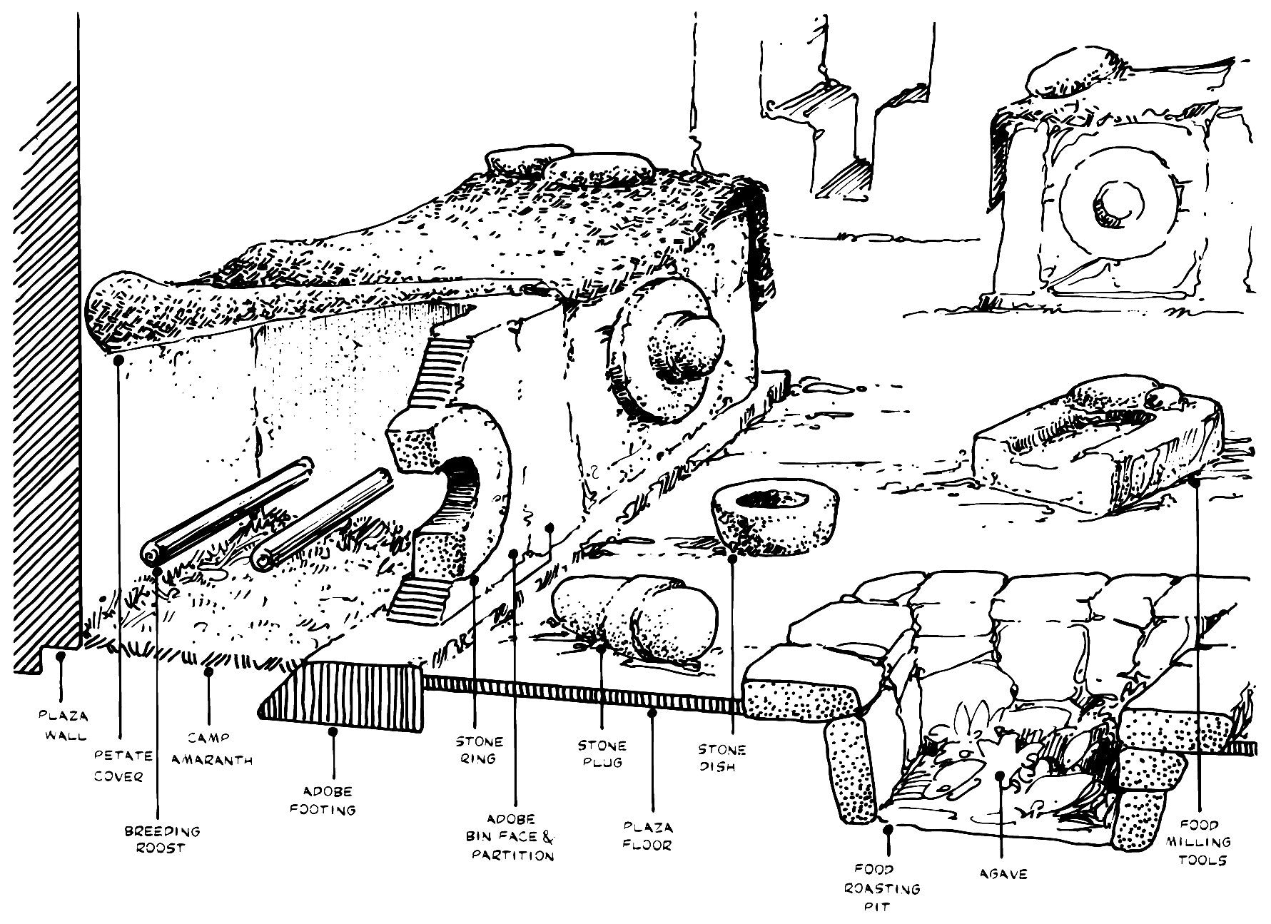 Aviculture: a history