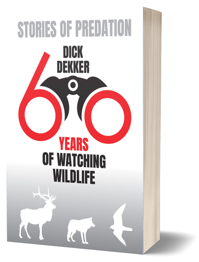 Stories of Predation by Dick Dekker