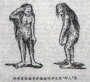 The Asian Wild Man: Yeti Yeren & Almasty Cultural Aspects and Evidence of Reality