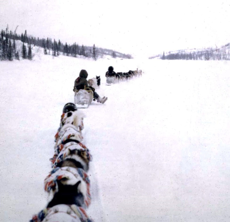 Burnt Snow: My Years Living & Working with the Dene of the Northwest Territories