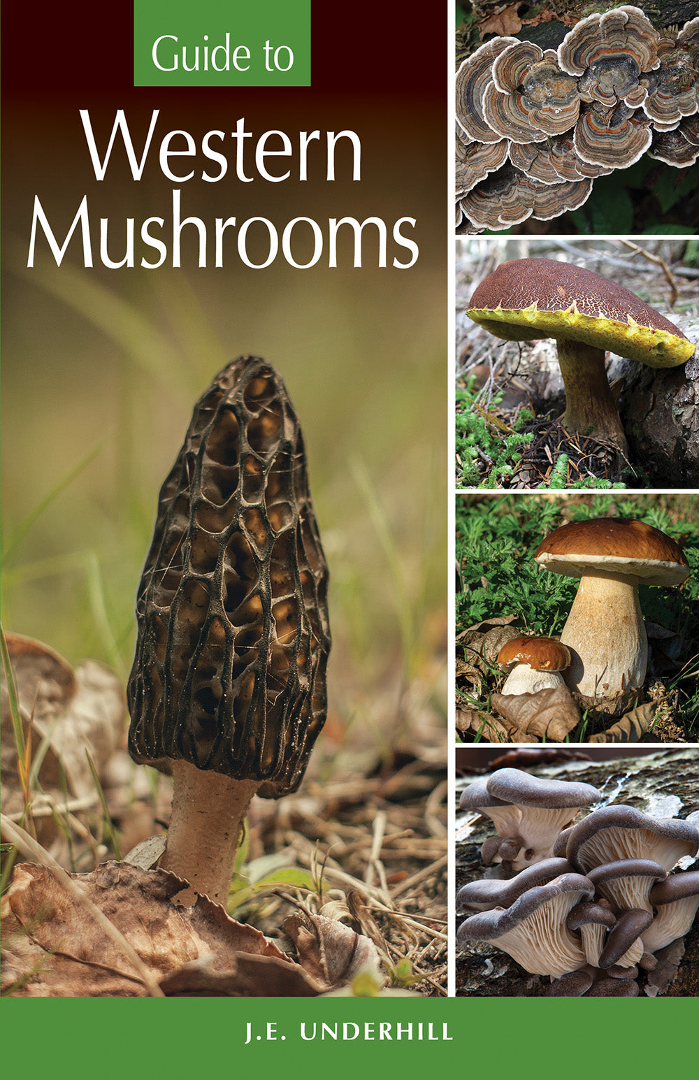 Guide to Western Mushrooms