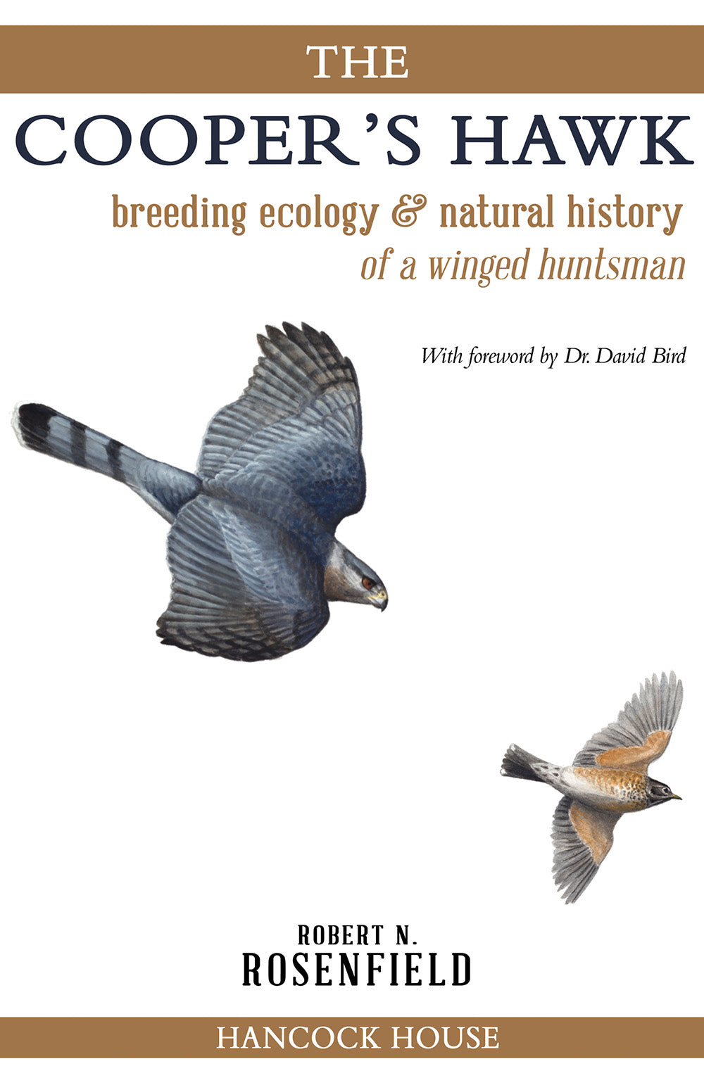 The Cooper's Hawk: breeding ecology & natural history of a winged huntsman