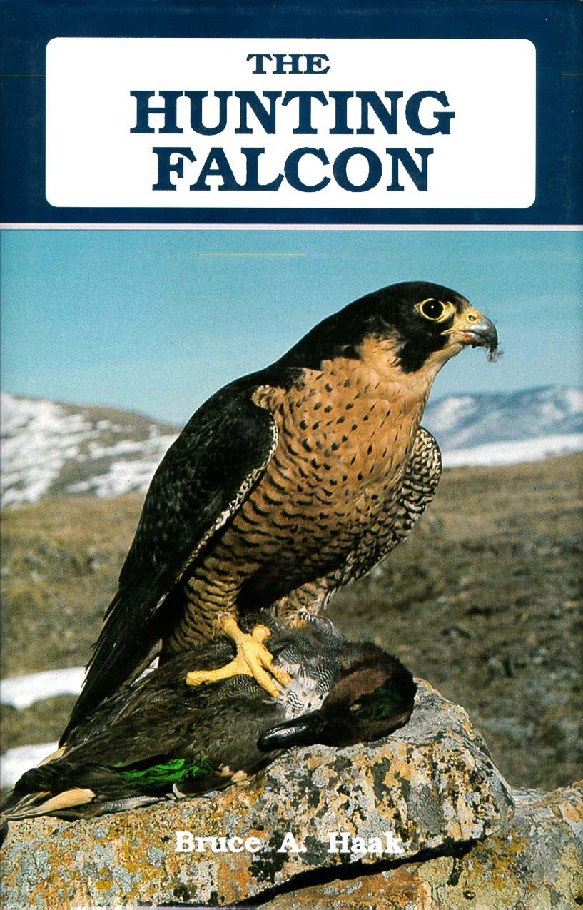 The Hunting Falcon