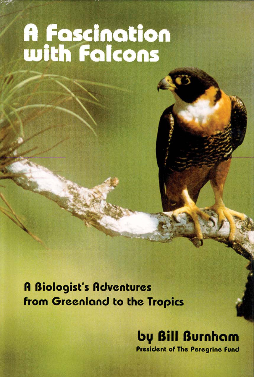 Fascination with Falcons: a biologist's adventures from Greenland to the tropics