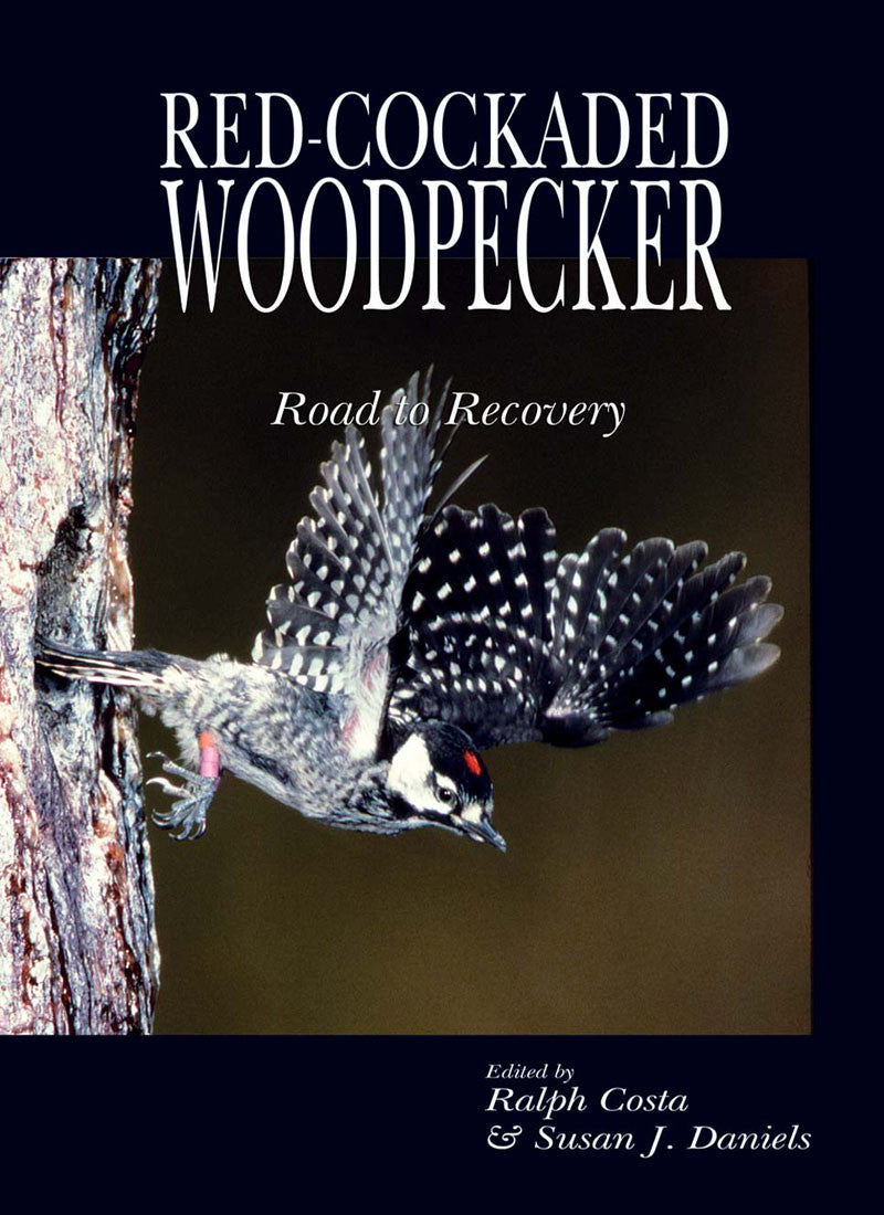 Red Cockaded Woodpecker: road to recovery