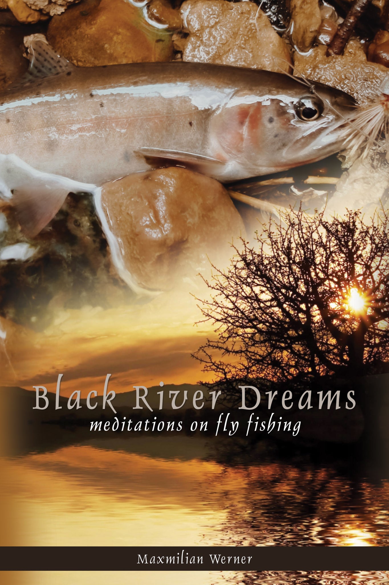 Black River Dreams: meditations on fly fishing