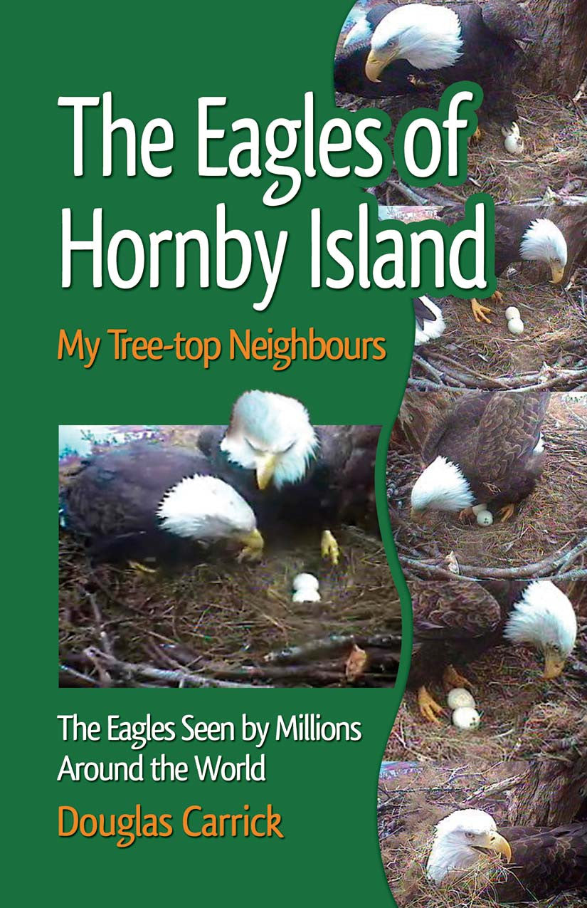 Eagles of Hornby Island: my tree top-neighbors