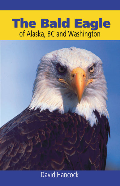 Bald Eagle of Alaska, BC and Washington