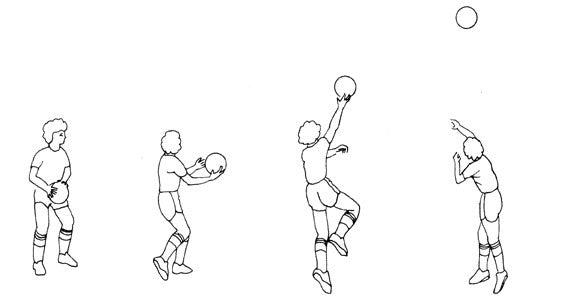 Basketball Handbook