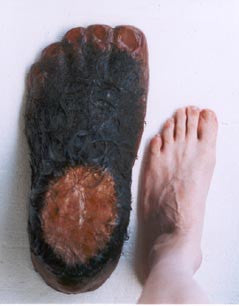 Bigfoot Encounters in Ohio: Quest for the Grassman