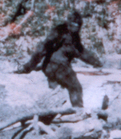 Bigfoot Film Journal