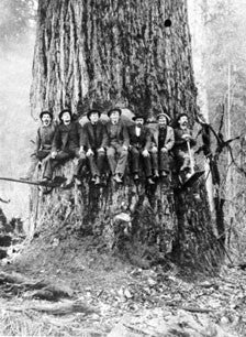 Big Timber Big Men: a history of loggers in a new land