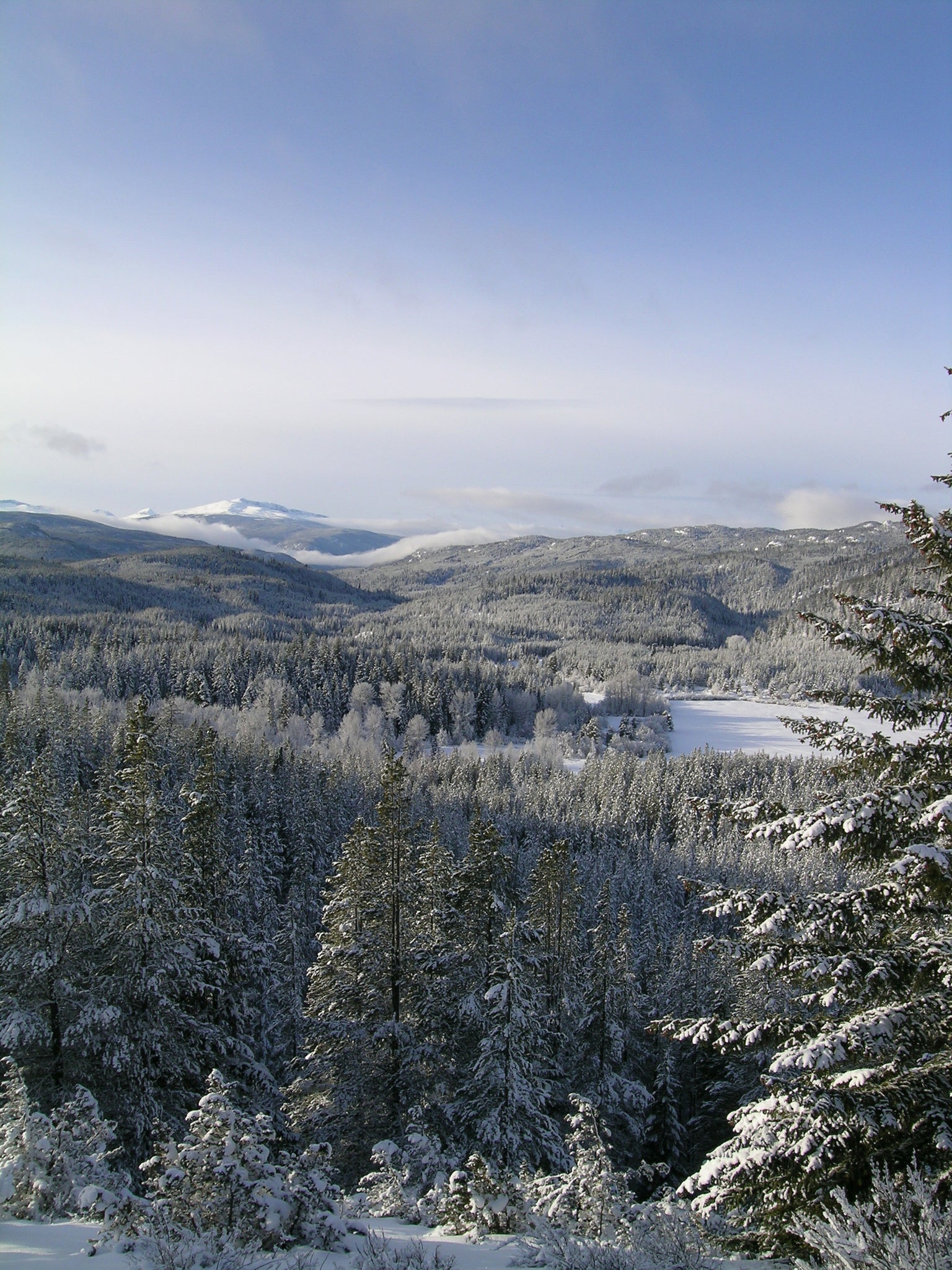 The Power of Dreams: 27 Years Off-grid in a Wilderness Valley