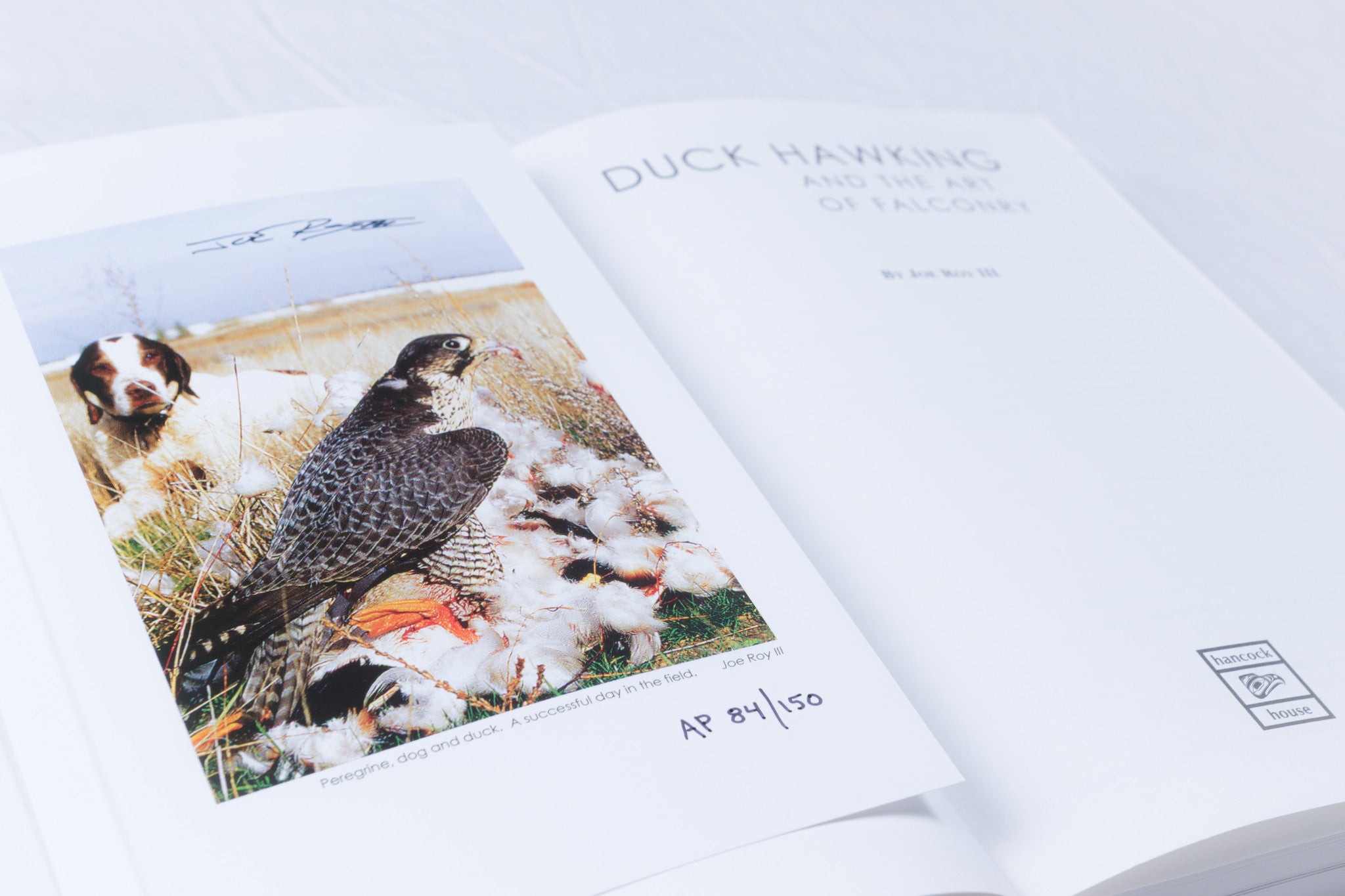 Duck Hawking: the art of falconry