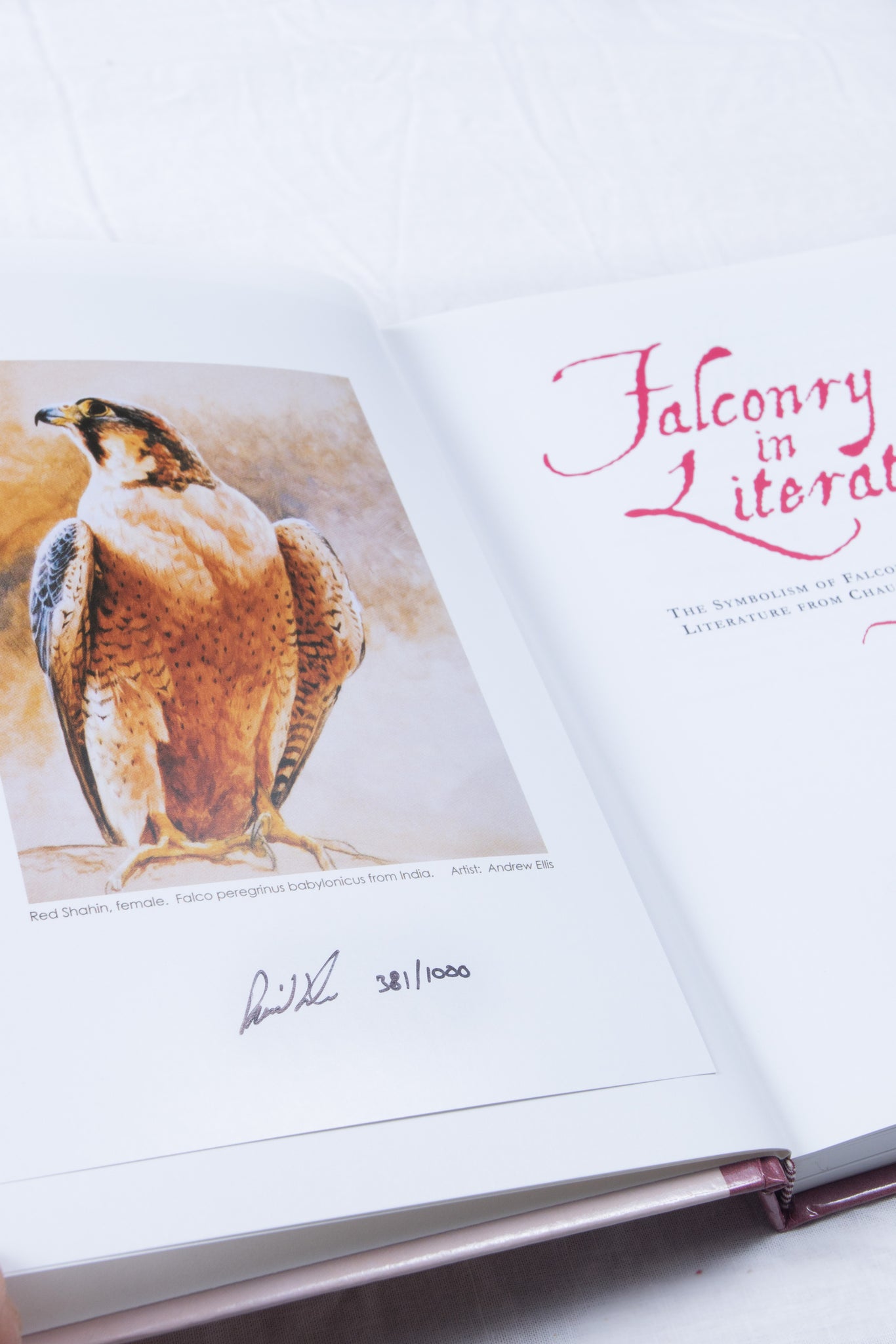 Falconry in Literature