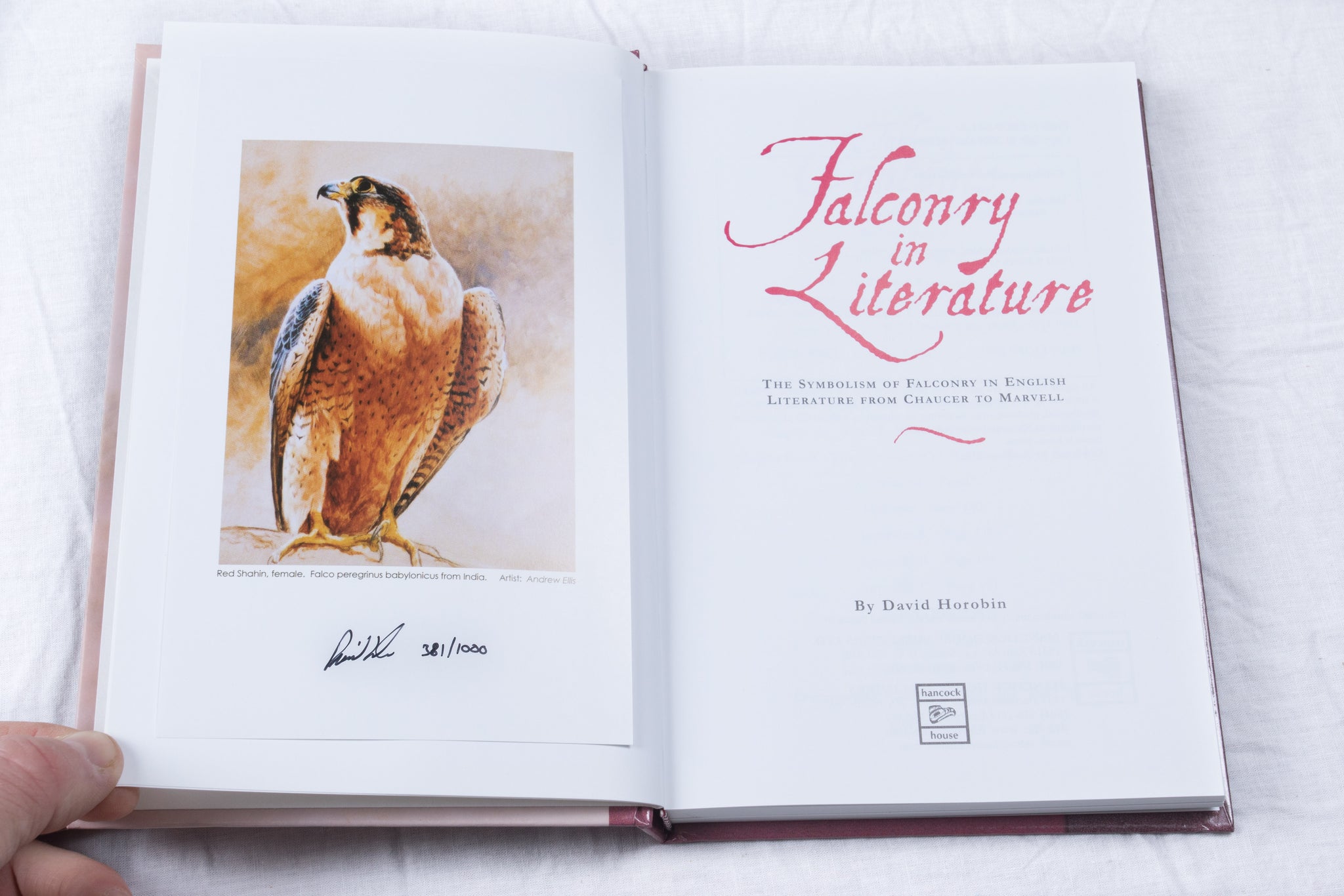 Falconry in Literature