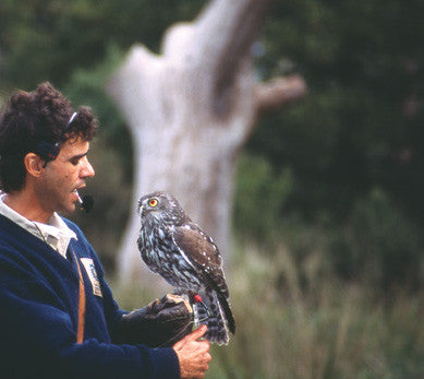 Captive Raptor Management & Rehabilitation